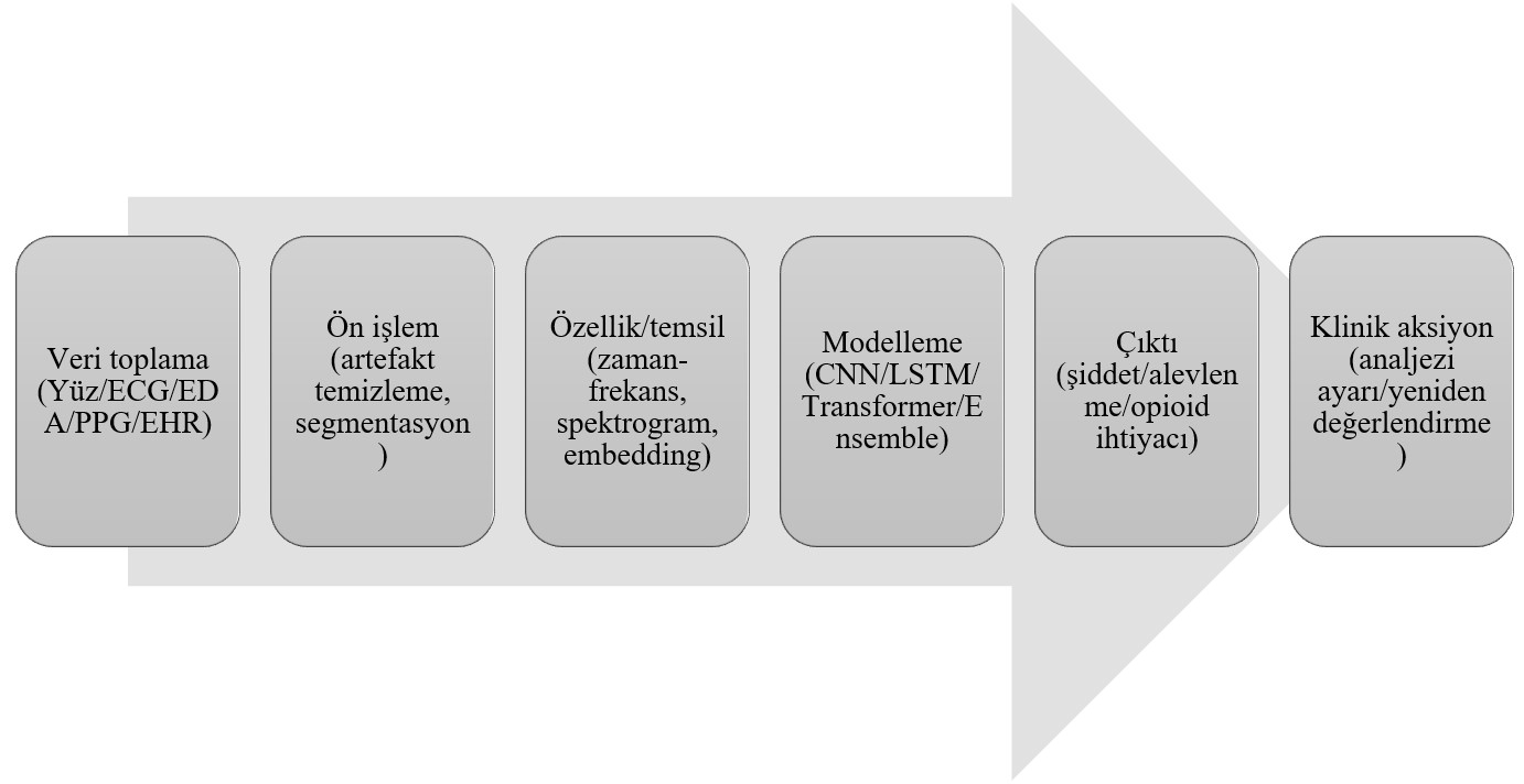Şekil 3. Otomatik ağrı tespiti (APA) için uçtan uca iş akışı.
